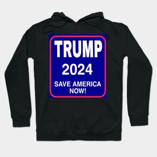 Trump 2024 Hoodie